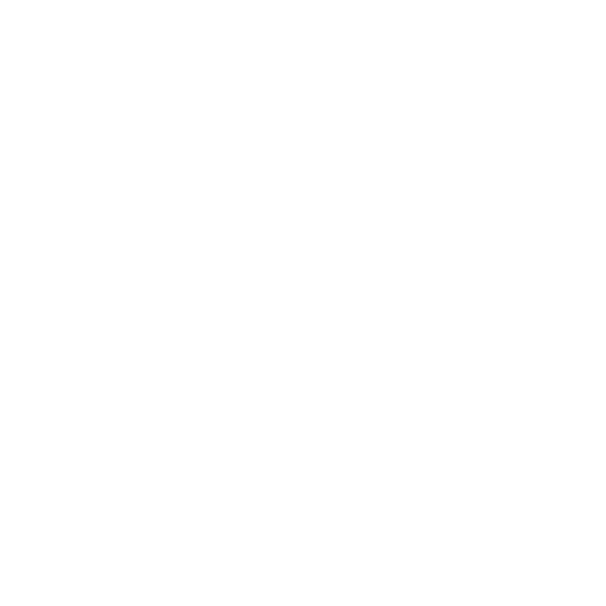 Funding Pips logo